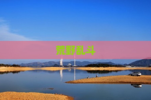 荒野乱斗