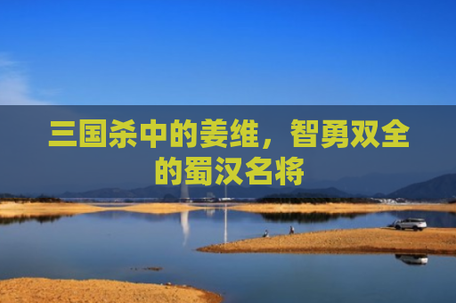 三国杀中的姜维，智勇双全的蜀汉名将