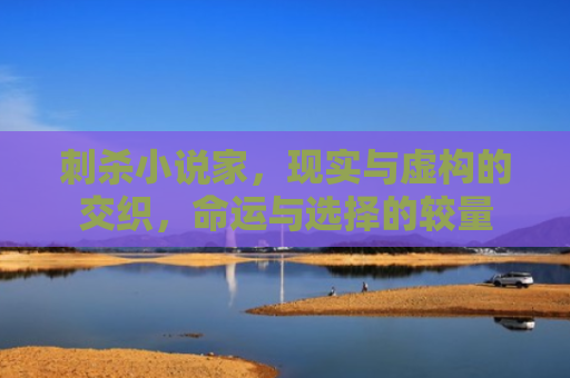 刺杀小说家，现实与虚构的交织，命运与选择的较量