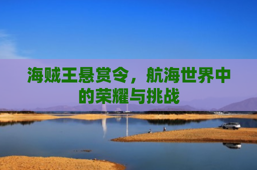 海贼王悬赏令，航海世界中的荣耀与挑战