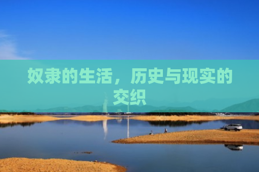 奴隶的生活，历史与现实的交织