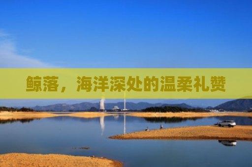 鲸落，海洋深处的温柔礼赞