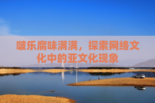 啵乐腐味满满，探索网络文化中的亚文化现象