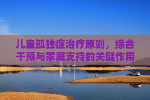 儿童孤独症治疗原则，综合干预与家庭支持的关键作用