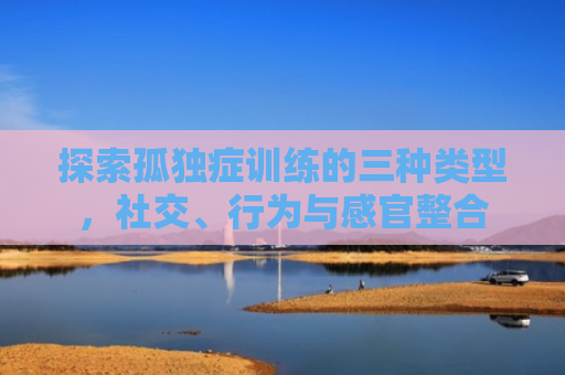 探索孤独症训练的三种类型，社交、行为与感官整合