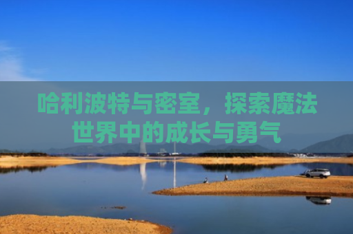哈利波特与密室，探索魔法世界中的成长与勇气