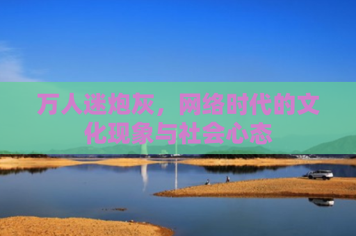 万人迷炮灰，网络时代的文化现象与社会心态