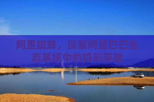 阿里蜘蛛，探索阿里巴巴生态系统中的隐形英雄