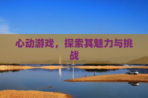 心动游戏，探索其魅力与挑战
