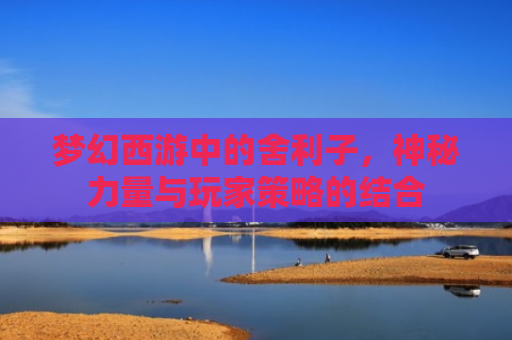 梦幻西游中的舍利子，神秘力量与玩家策略的结合
