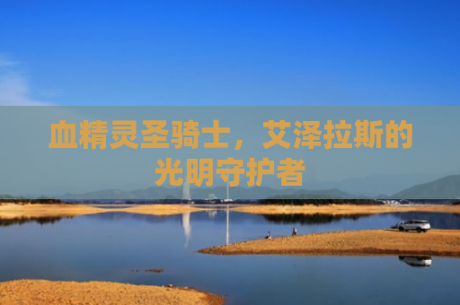 血精灵圣骑士，艾泽拉斯的光明守护者