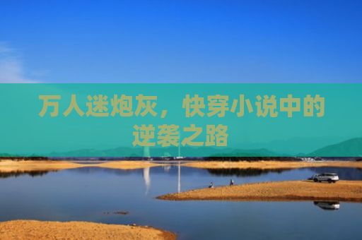 万人迷炮灰，快穿小说中的逆袭之路