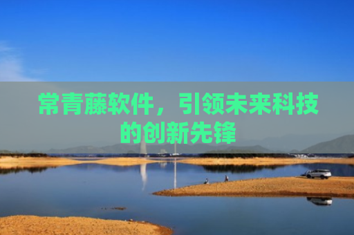常青藤软件，引领未来科技的创新先锋