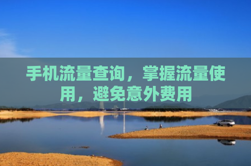 手机流量查询，掌握流量使用，避免意外费用