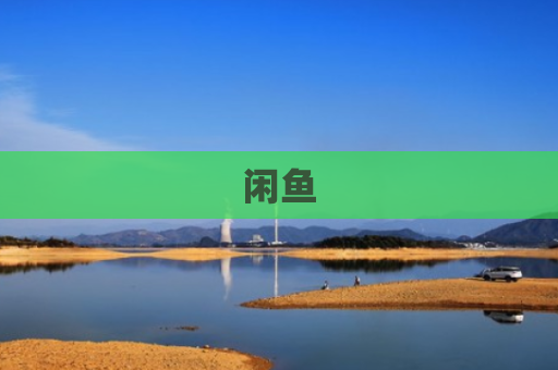 闲鱼